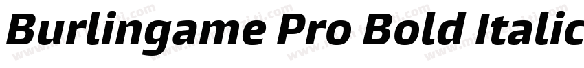 Burlingame Pro Bold Italic字体转换